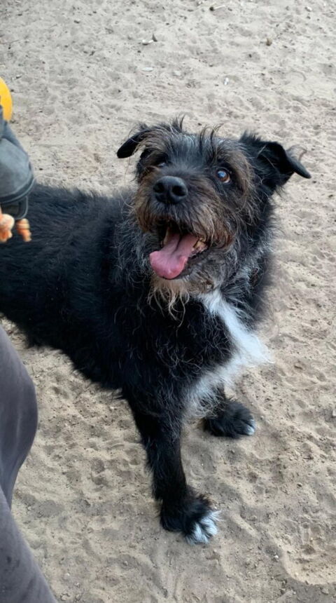Max