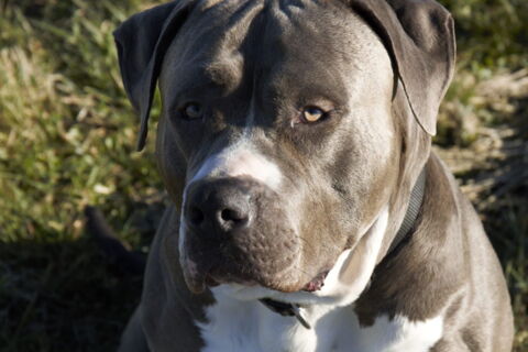 Lennox